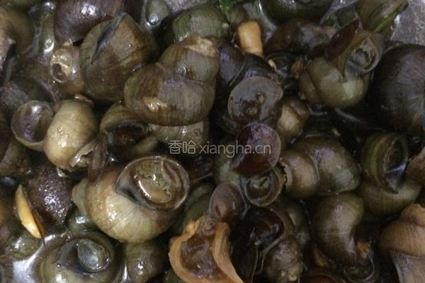 薄荷叶炒田螺的做法图解6