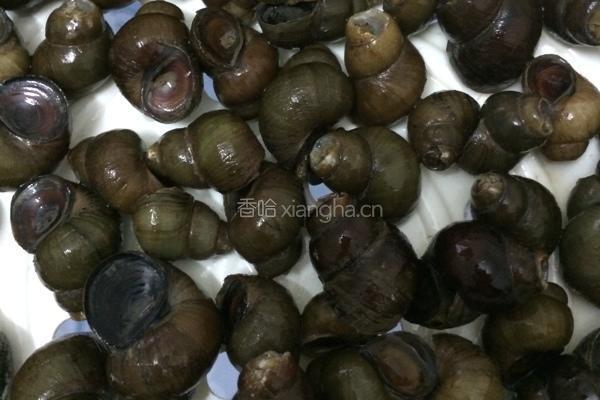 薄荷叶炒田螺的做法图解2