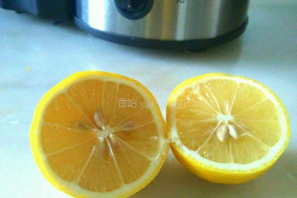 柠檬汁的做法图解2
