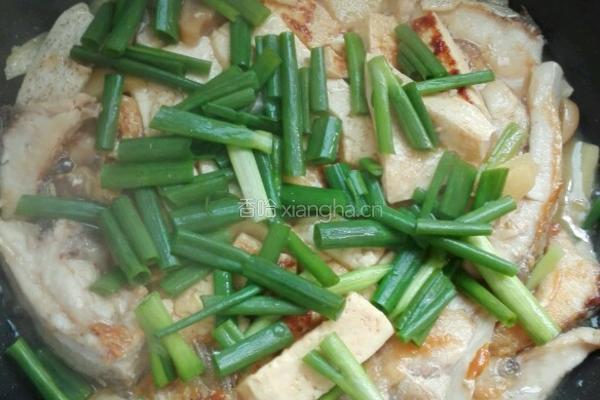 鱼腩焖豆腐的做法图解5