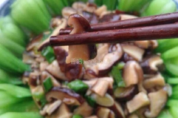 香菇油菜的做法图解3