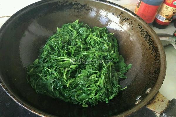 蒜蓉炒萝卜苗的做法图解6