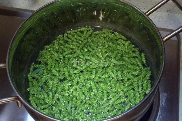 柳树芽拌葱丝的做法图解2