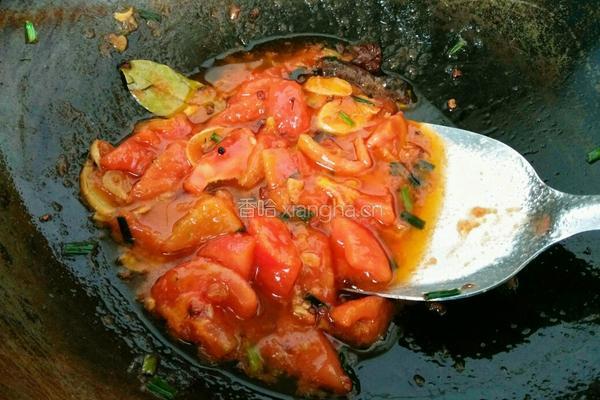 西红柿土豆炖牛腩的做法图解7