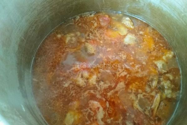 西红柿土豆炖牛腩的做法图解14