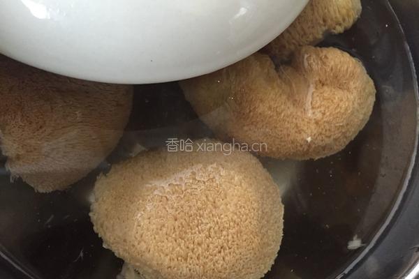 猴头菇排骨汤的做法图解1