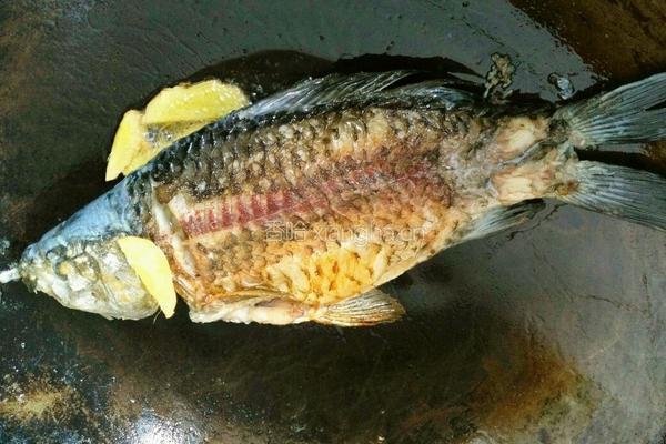鲫鱼豆腐汤的做法图解5