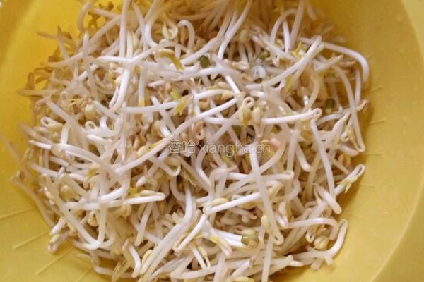 自制绿豆芽的做法图解3