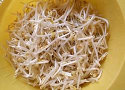 自制绿豆芽