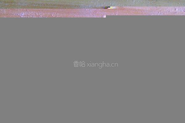 水果派的做法图解12
