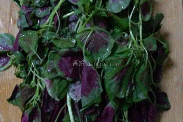苋菜的做法图解1