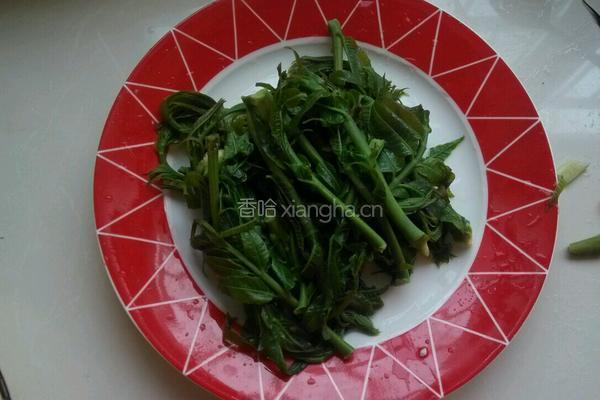 香椿拌豆腐的做法图解3