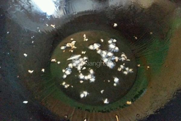 蟹棒油菜的做法图解8