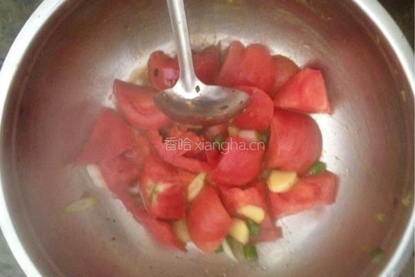 番茄炖西葫芦的做法图解3