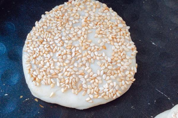 全麦油酥烧饼的做法图解15