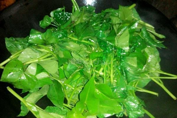 清炒番薯叶的做法图解4
