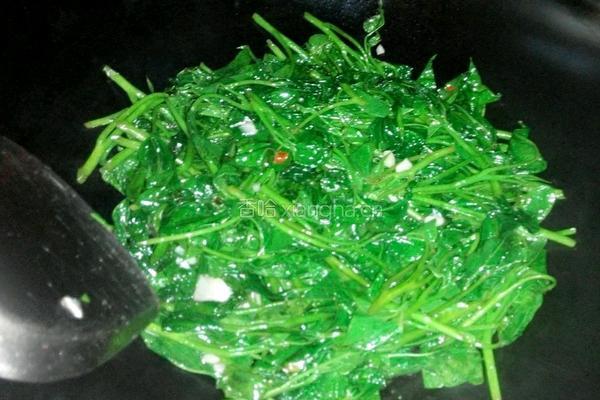 清炒番薯叶的做法图解5