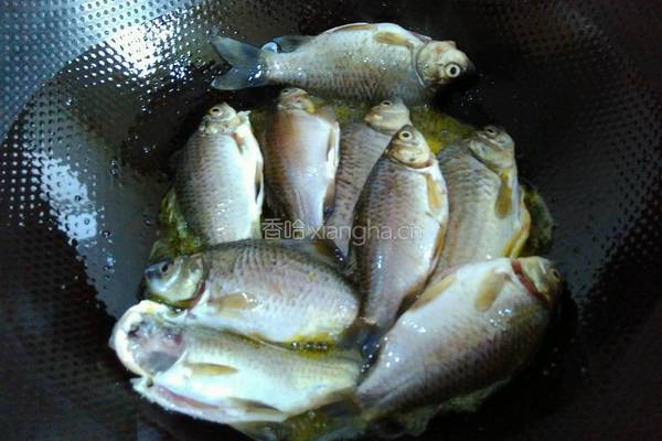 野生鲫鱼豆腐汤的做法图解3