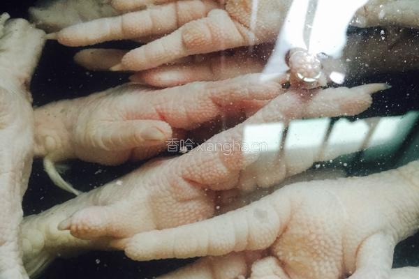 酸辣凤爪的做法图解1