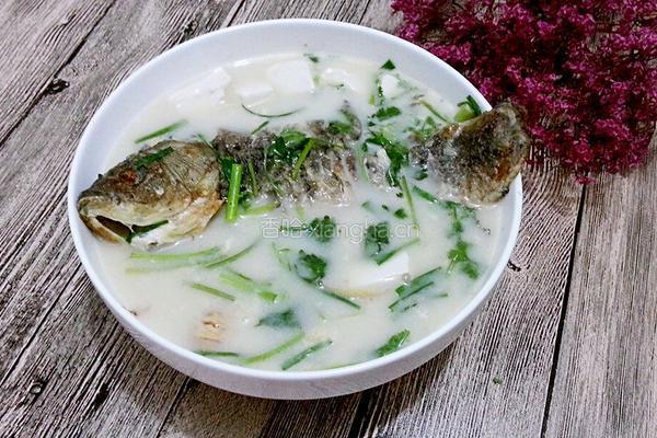 豆腐鲫鱼汤的做法图解8