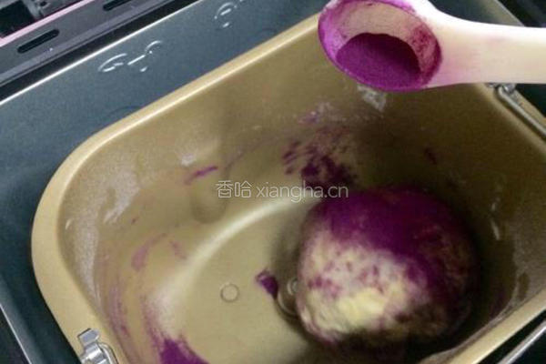 紫薯蜜豆面包的做法图解5
