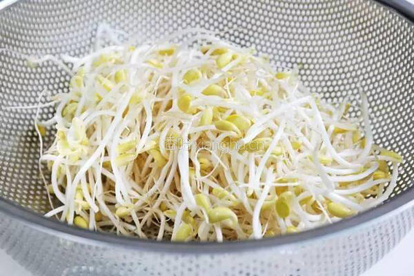 韩式【黄豆芽汤】 的做法图解2