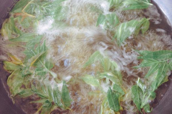 香椿芽拌豆腐的做法图解5