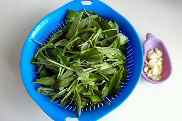 蒜香空心菜的做法图解1