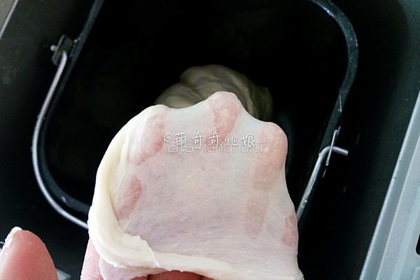 自制披萨饼胚的做法图解3