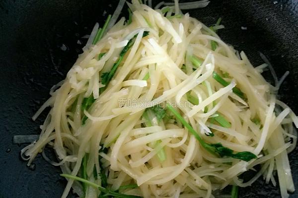 香菜土豆丝的做法图解7