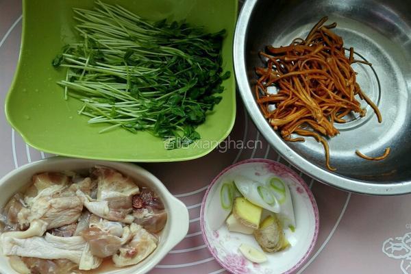 虫草鸡腿煲的做法图解2