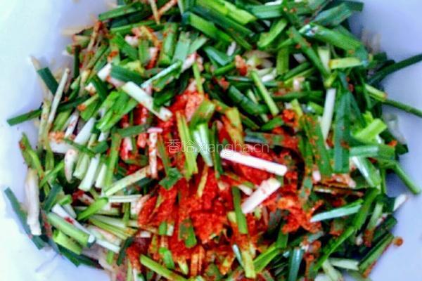 白萝卜泡菜的做法图解8
