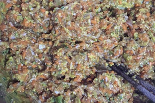 羊肉胡萝卜饺子的做法图解4