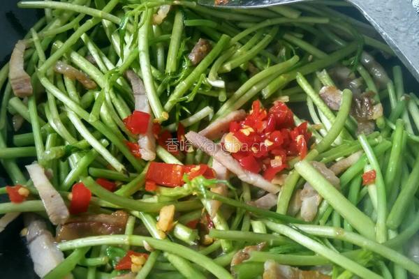 泥篙炒腊肉的做法图解6