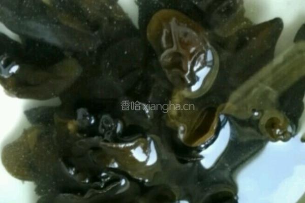 西兰花拌木耳的做法图解2