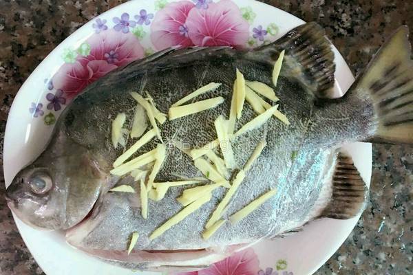 清蒸金鼓鱼的做法图解4