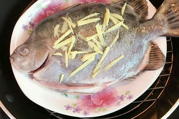 清蒸金鼓鱼的做法图解5