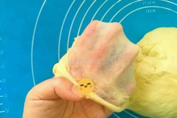 淡奶油长劲鹿纹吐司（汤种）的做法图解5