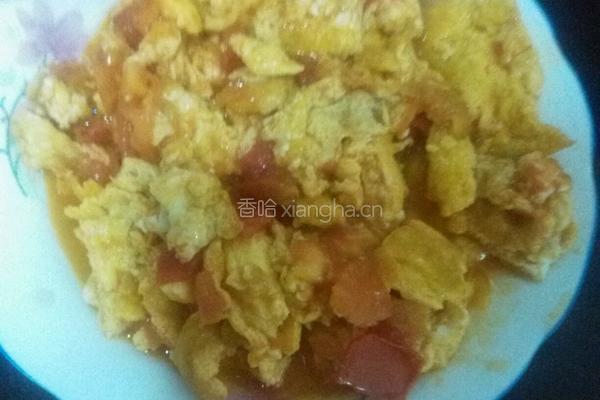 西红柿鸡蛋的做法图解15