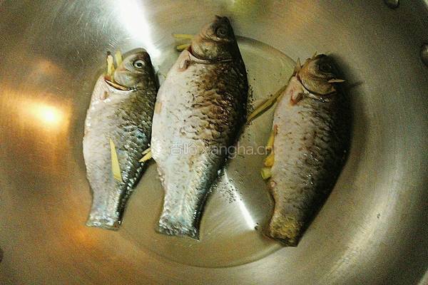 野蘑菇鲫鱼豆腐汤的做法图解4