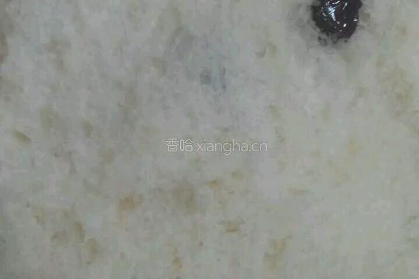 面包机版葡萄干牛奶面包的做法图解5