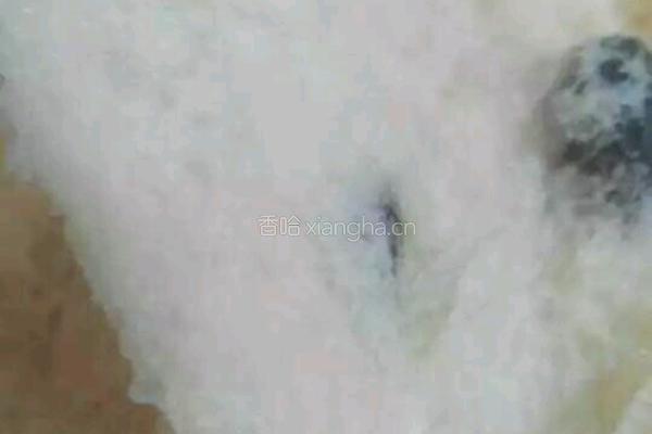 面包机版葡萄干牛奶面包的做法图解7