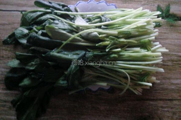 凉拌菠菜的做法图解1