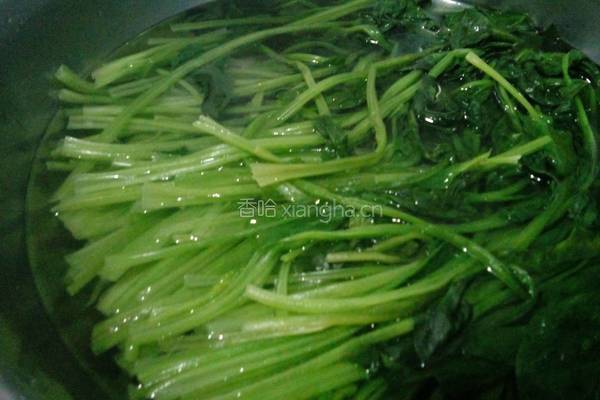 凉拌菠菜的做法图解3