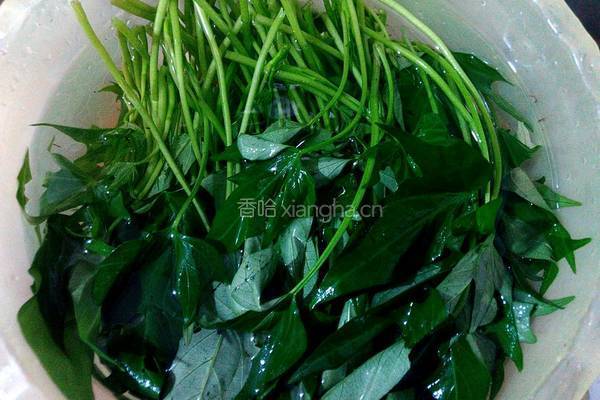 蒜蓉炒番薯叶的做法图解1