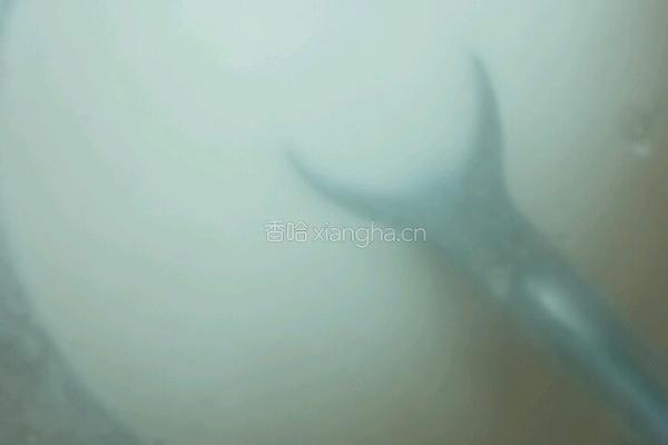 腌鸭蛋的做法图解1