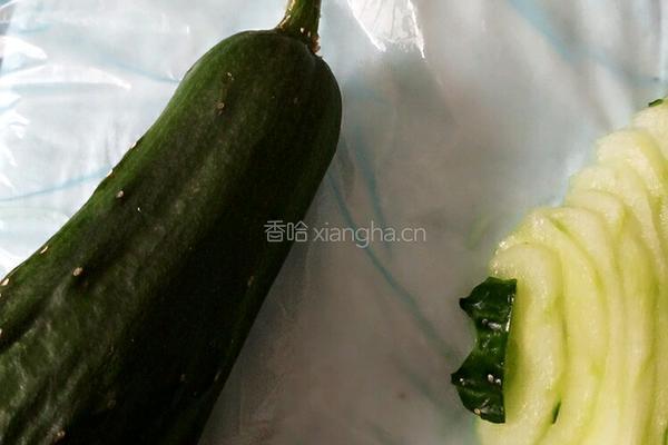 泡泡鱼黄瓜拼盘的做法图解19