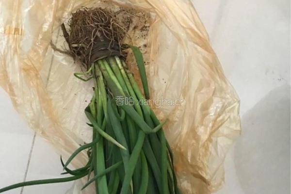 小葱拌豆腐的做法图解1