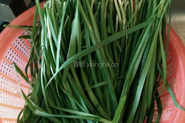 黄鳝炒韭菜的做法图解1