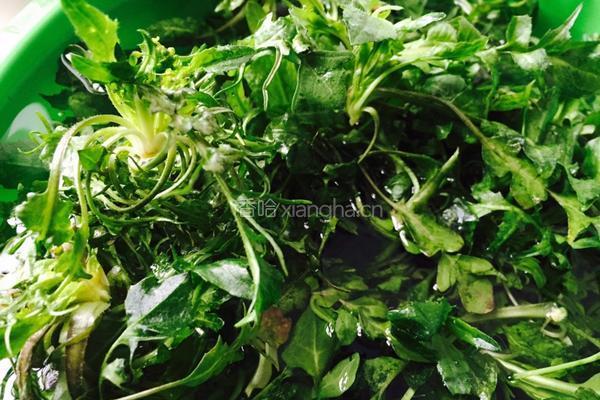 上汤荠菜肉丝的做法图解2
